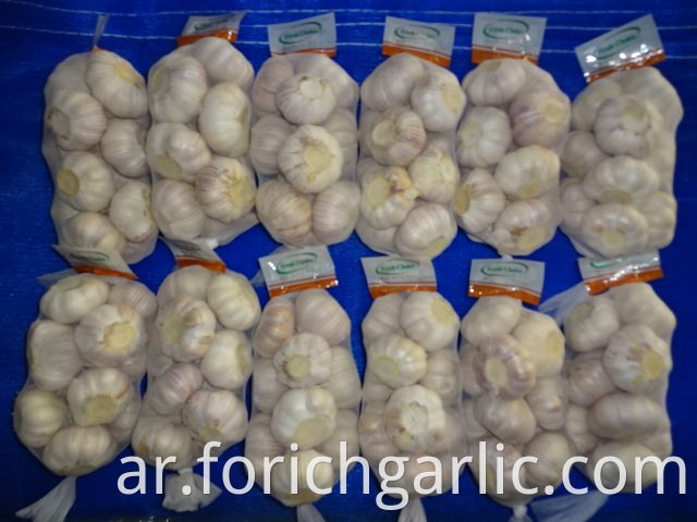 Normal White Garlic 2019 Jinxiang